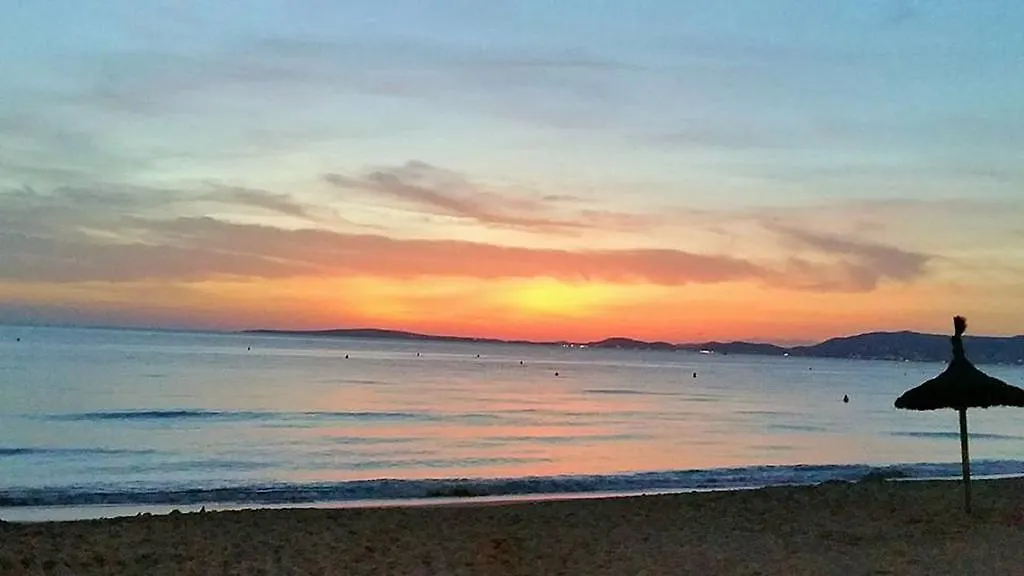 Myseahouse Flamingo - Adults Only 4* Sup Hotel Playa de Palma
